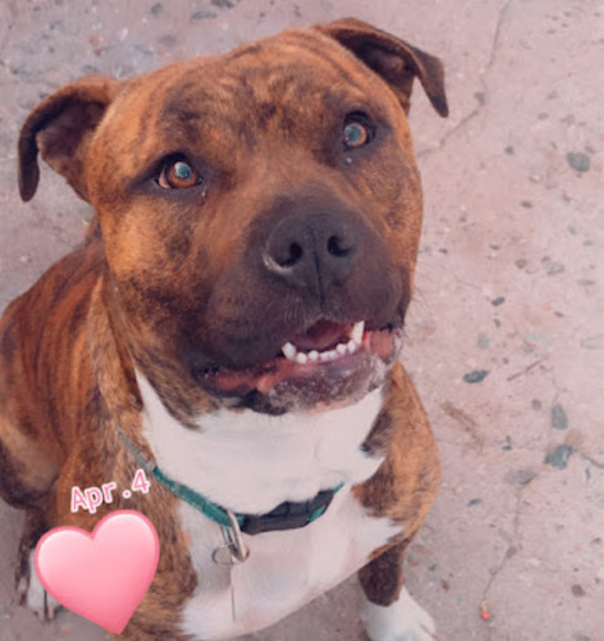 Meet your Posher, Esly - Picture 1 of 1